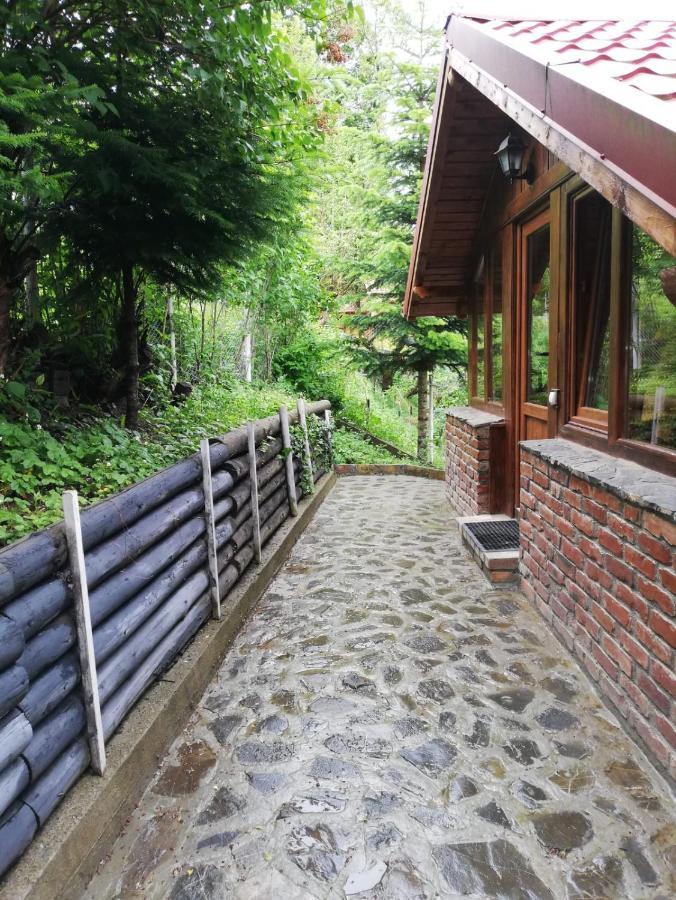 La Gabi Hotel Azuga Eksteriør billede