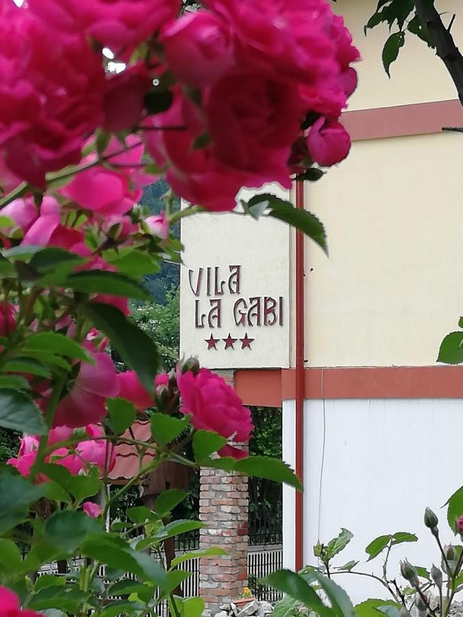 La Gabi Hotel Azuga Eksteriør billede