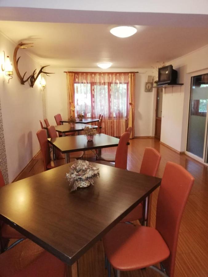 La Gabi Hotel Azuga Eksteriør billede