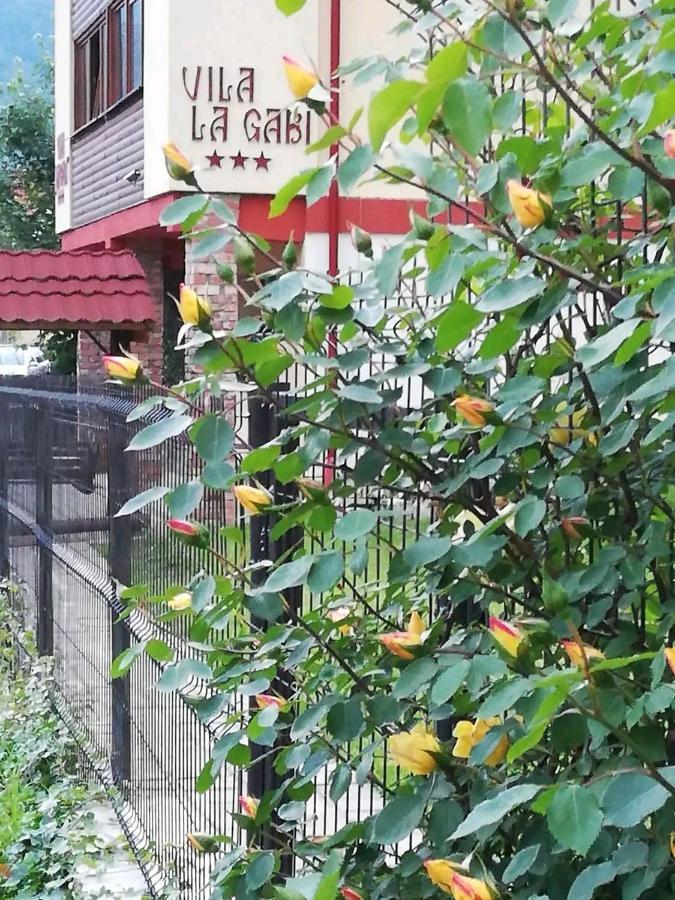 La Gabi Hotel Azuga Eksteriør billede